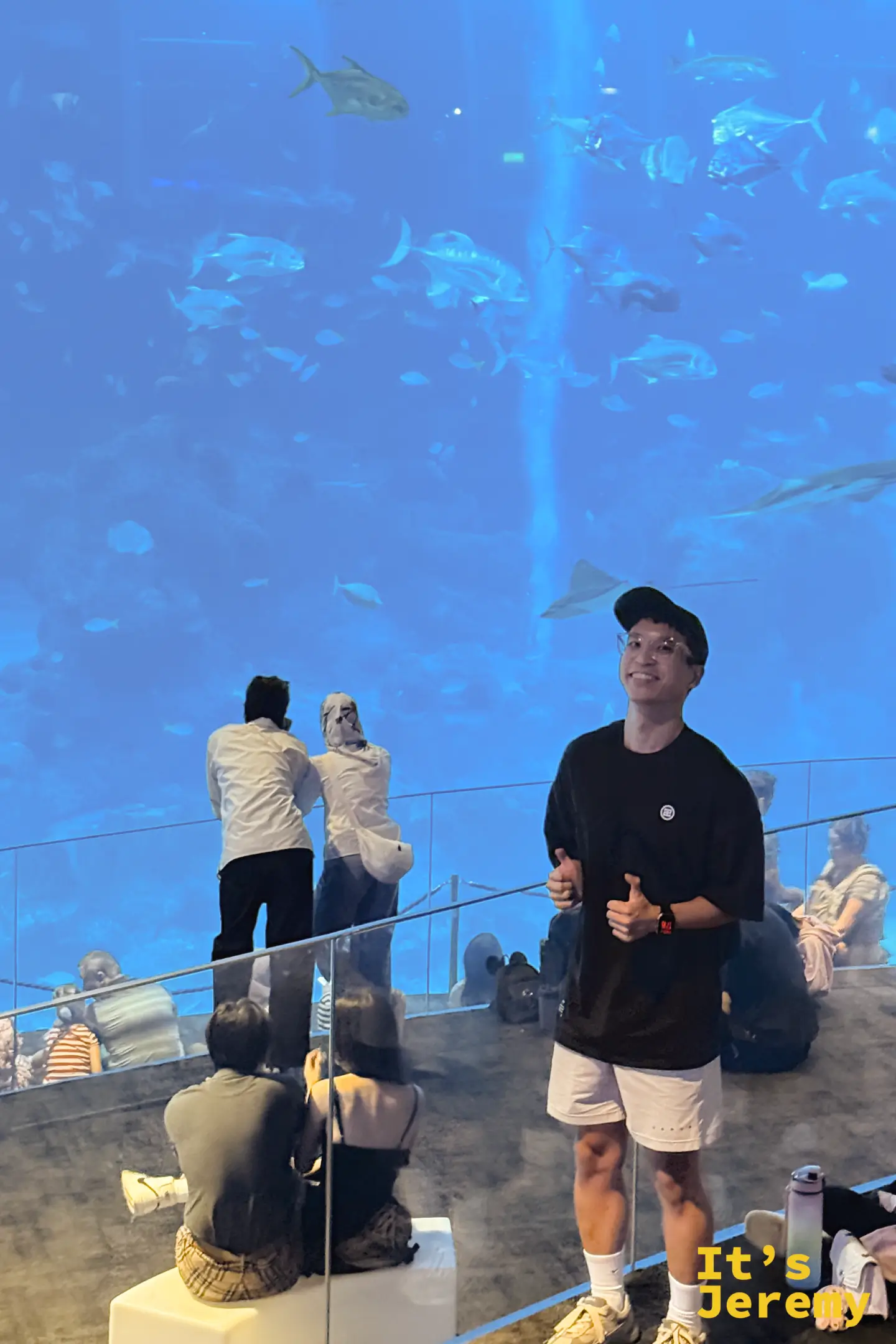 S.E.A. 海洋館開放海域的巨型觀景窗，鯊魚、魟魚在深藍水域中游動