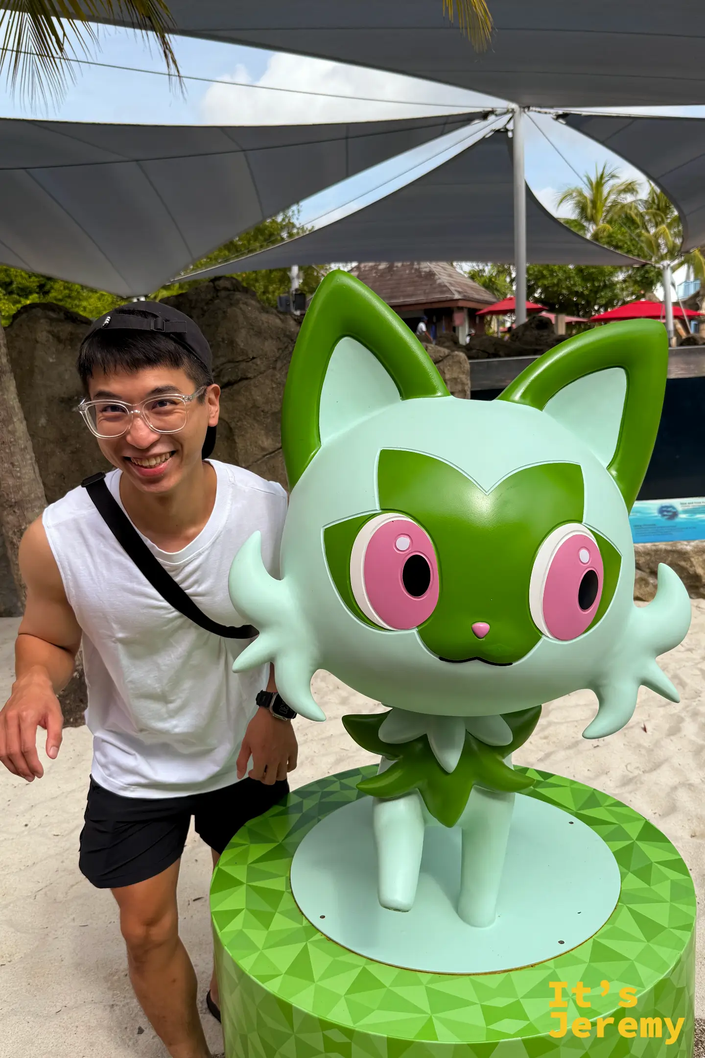 草系御三家新葉喵（Sprigatito），貓咪造型加上一臉不服氣的表情，是三隻裡人氣最高的一隻