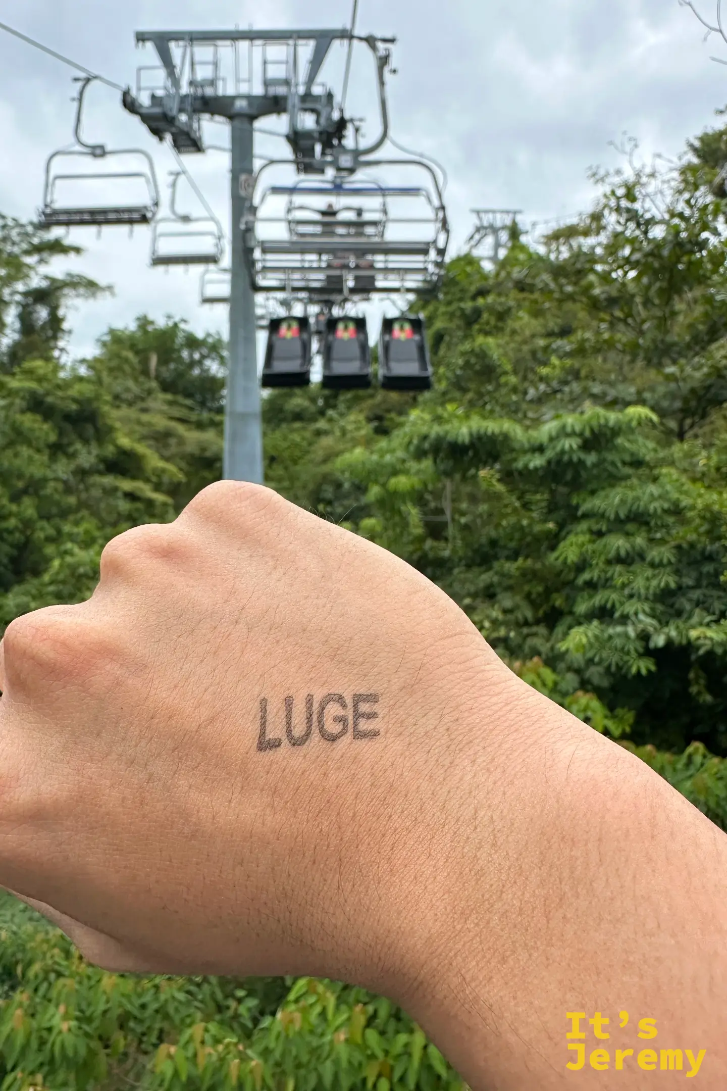 遊客手背上蓋著黑色 LUGE 字樣的辨識印章，背景是高空延伸的 Skyride 吊椅纜線與聖淘沙叢林