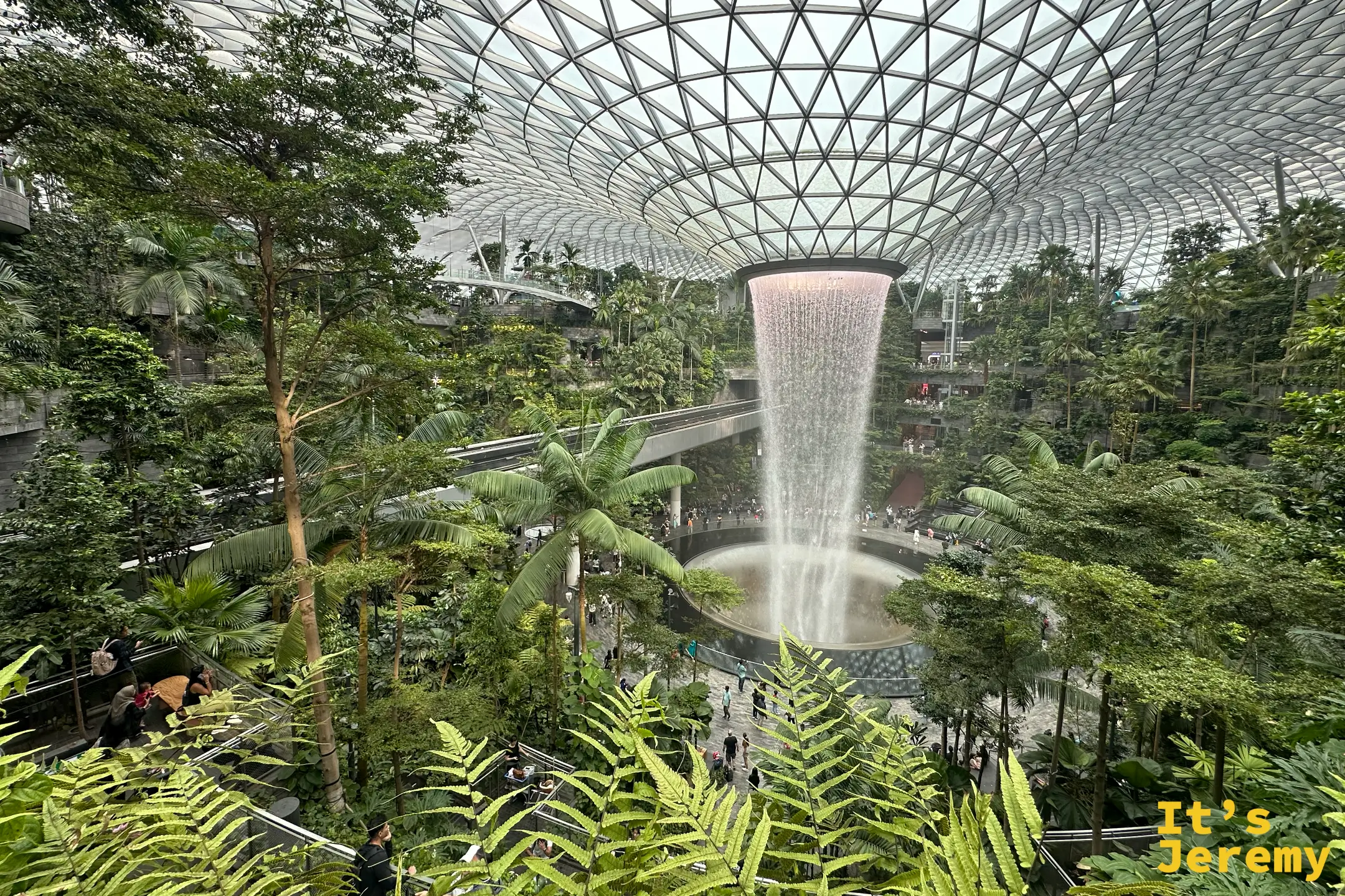 星耀樟宜內部巨大溫室植物園,茂密綠色樹冠與遠處垂墜的白色巨型水幕相呼應