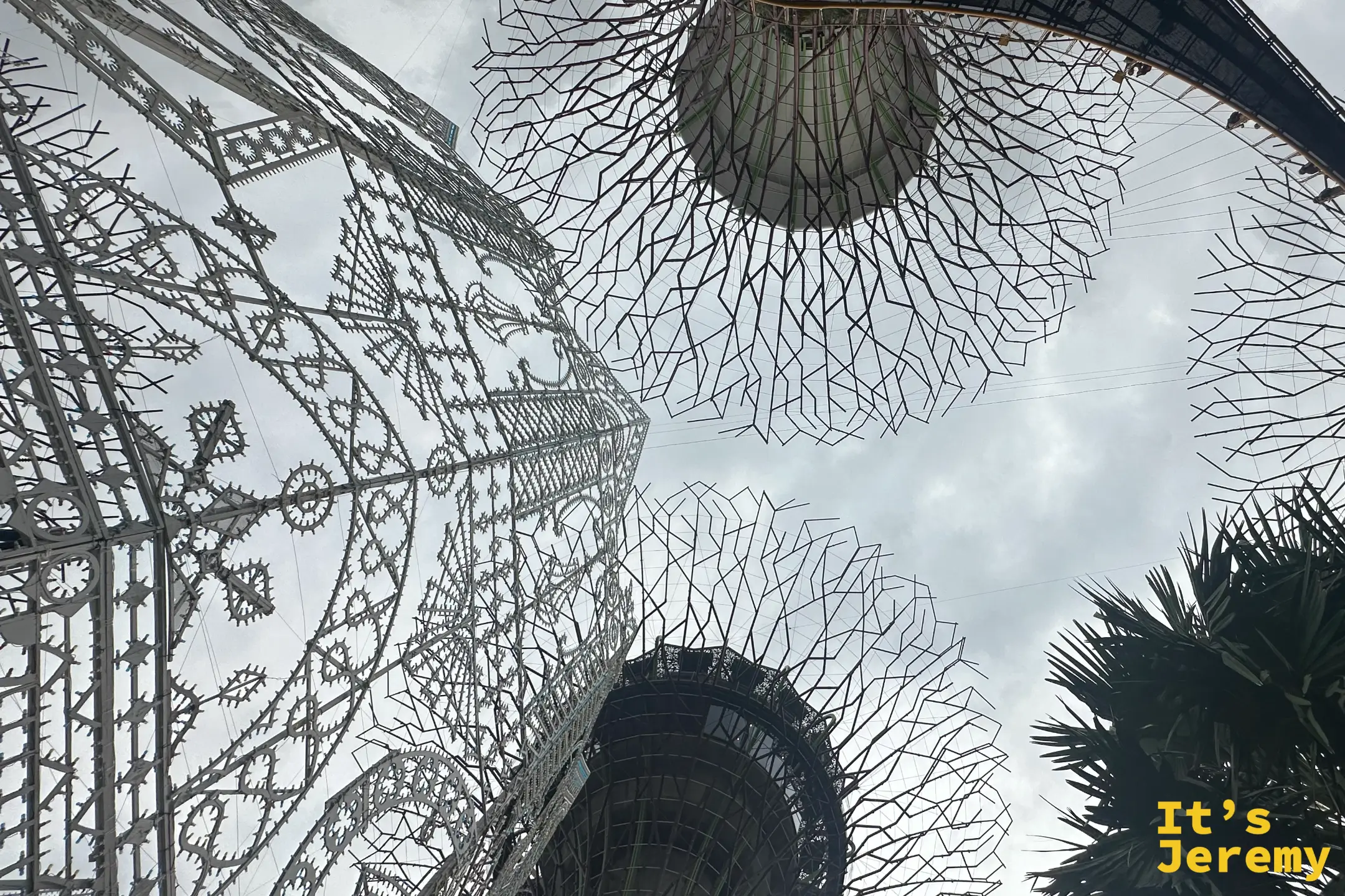 仰望白色鋼骨光雕結構，後方的擎天樹樹冠朝天空展開