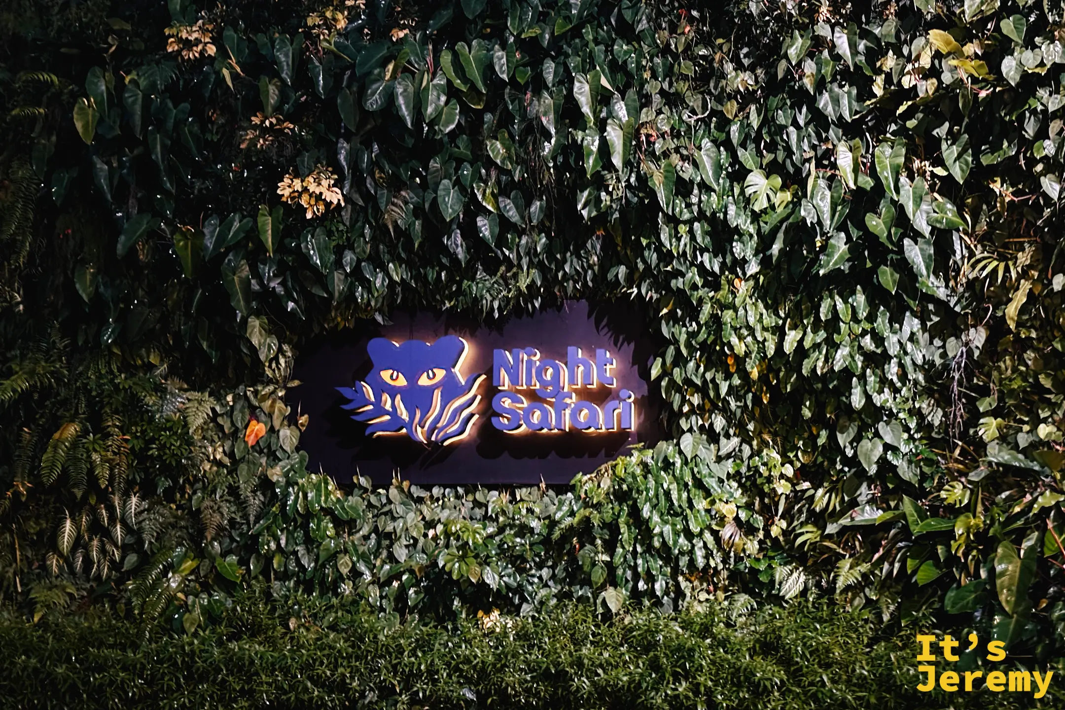 夜間野生動物園入口的紫色貓頭鷹霓虹招牌，融入綠意盎然的植物牆