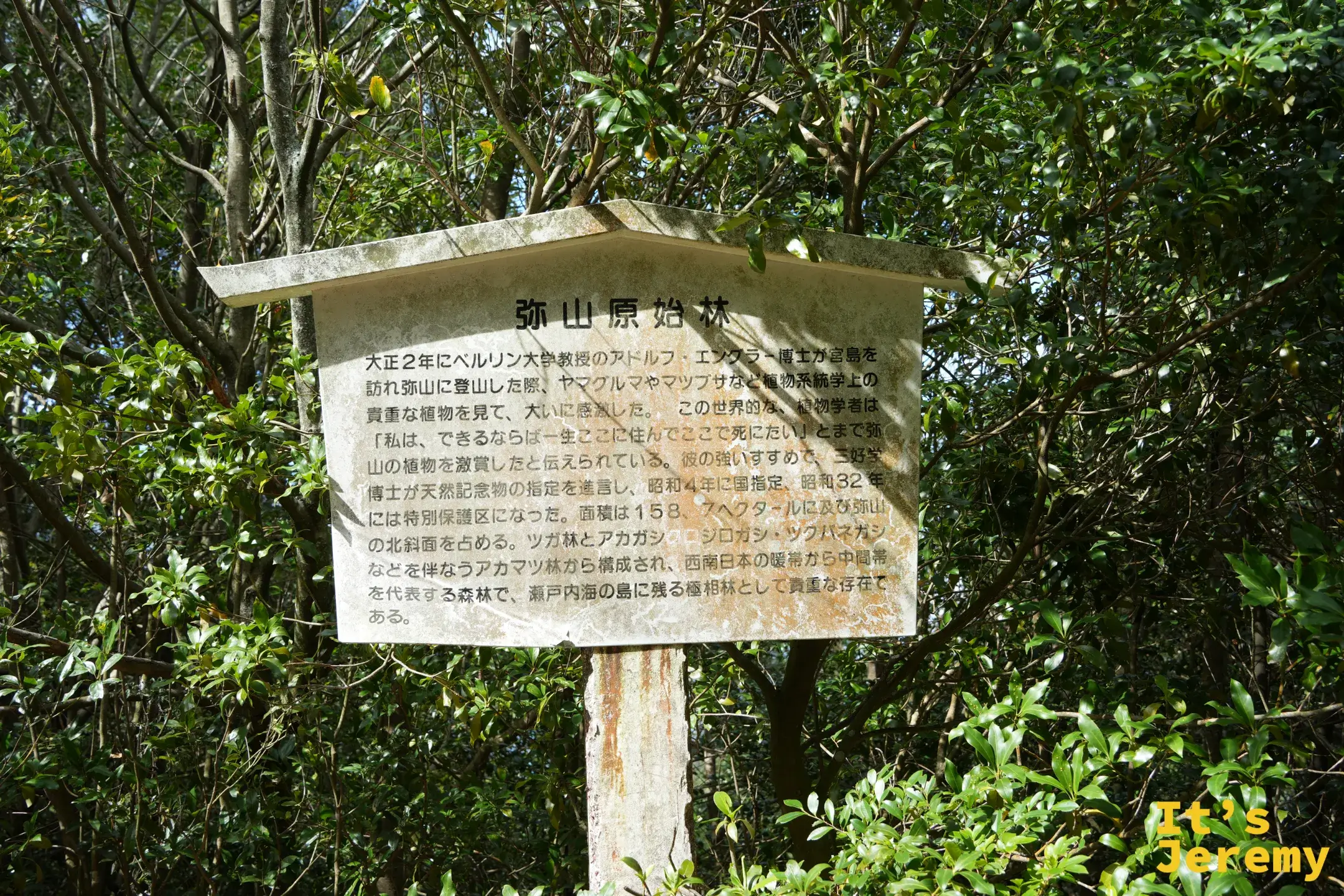 閼伽井堂附近的原始林解說牌