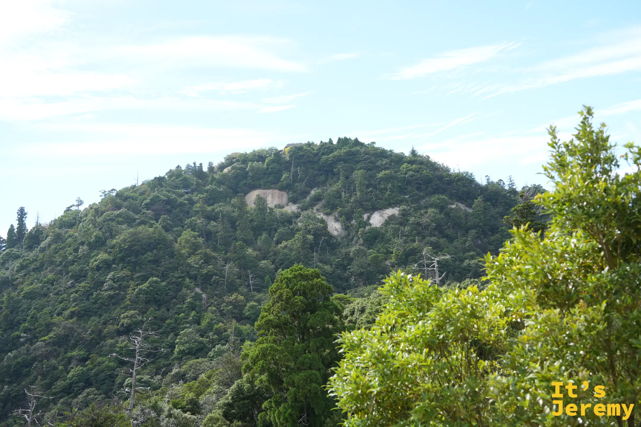 從獅子岩展望台望向彌山山頂