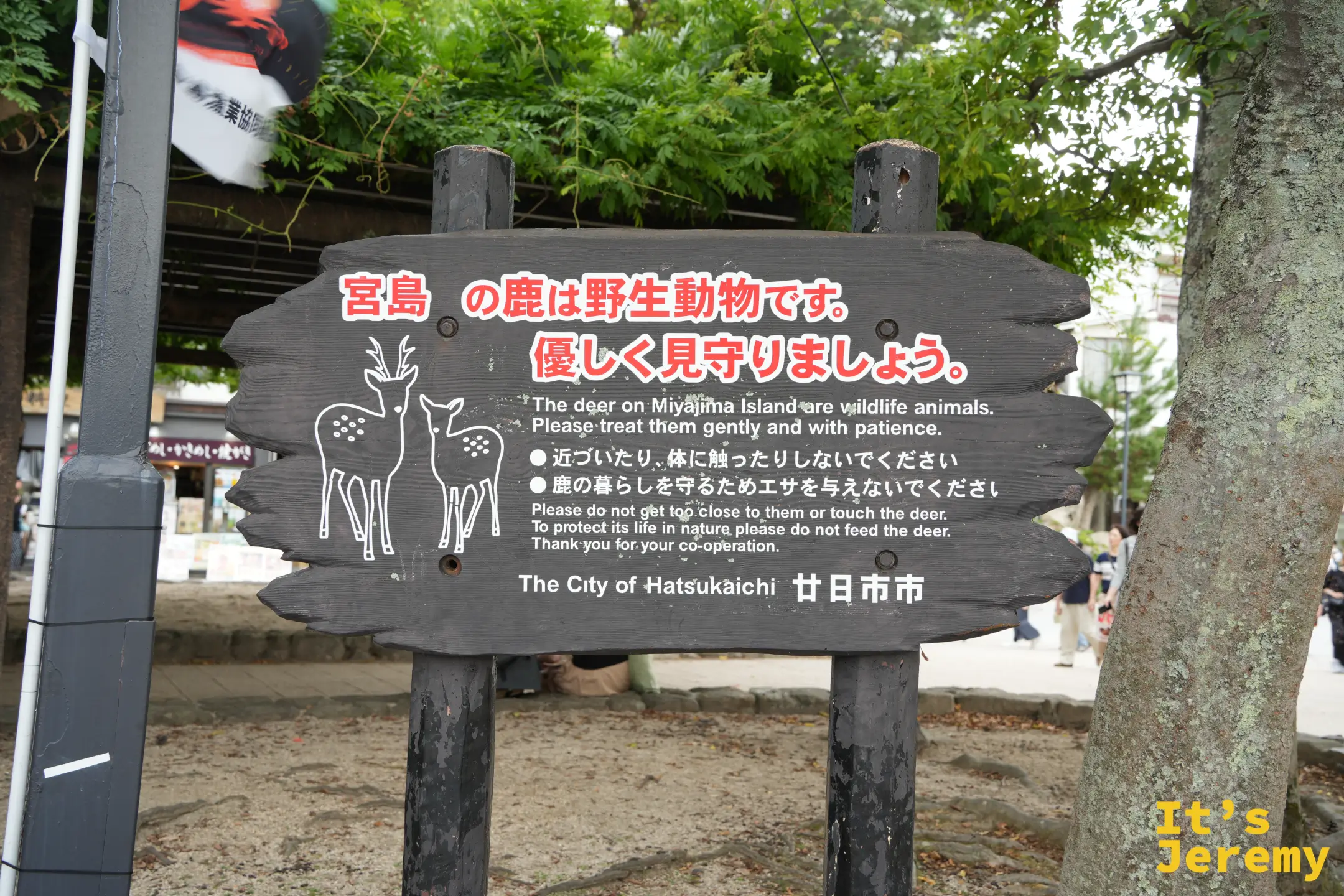路邊提醒遊客不要餵食野鹿的告示牌