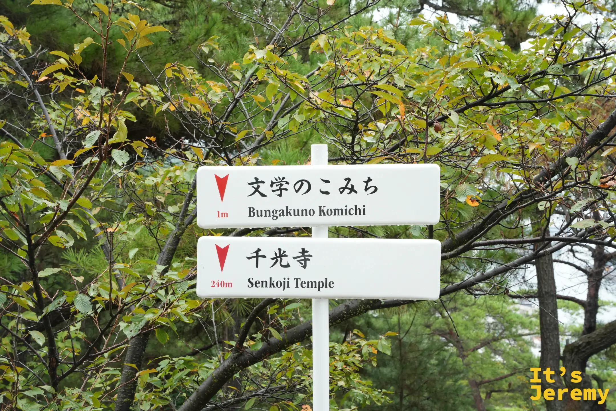 千光寺指標