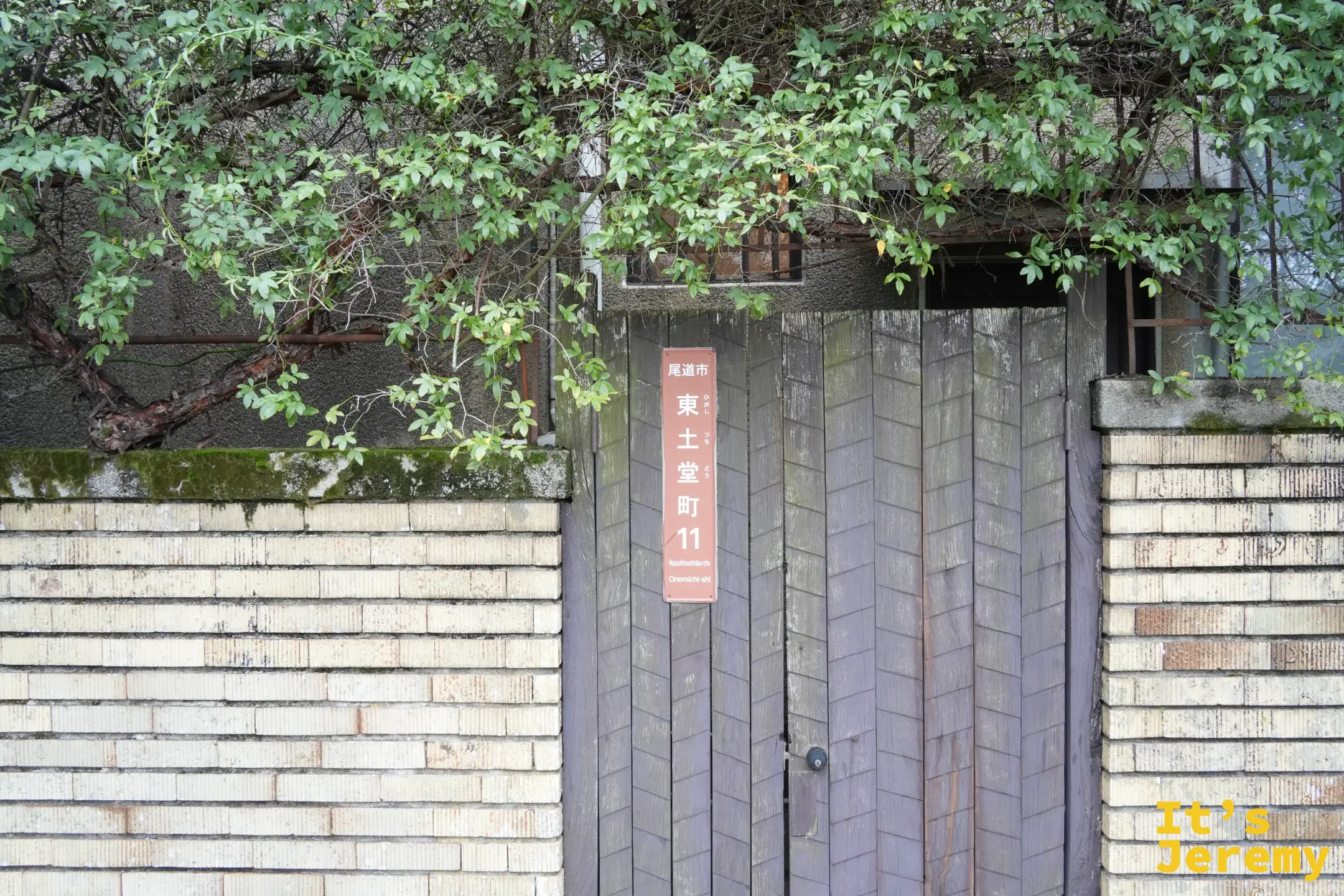 下山路上的住宅