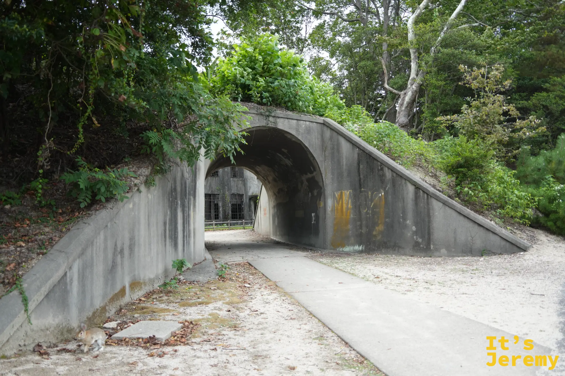 發電所遺跡的入口
