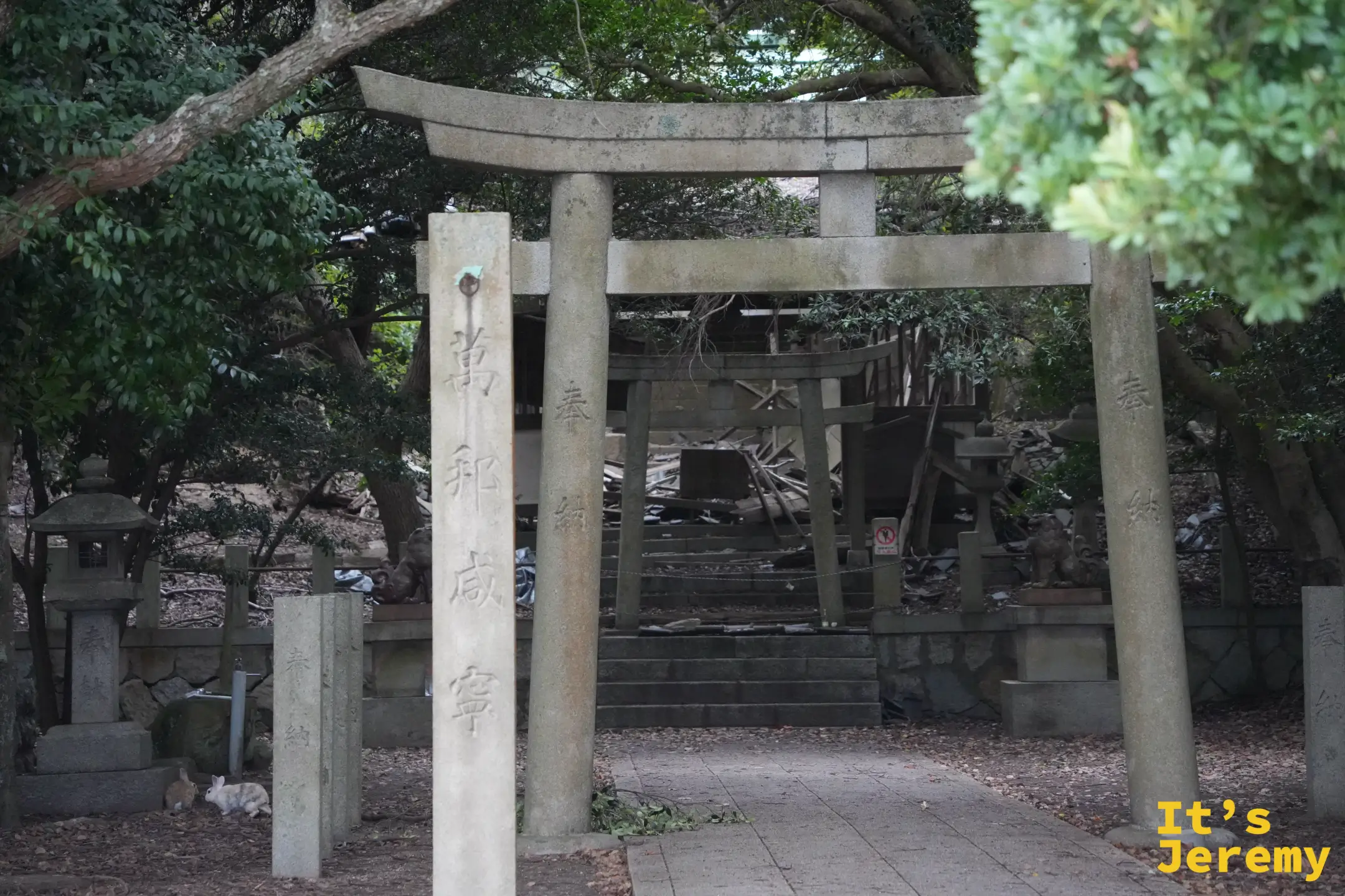 大久野島神社的鳥居