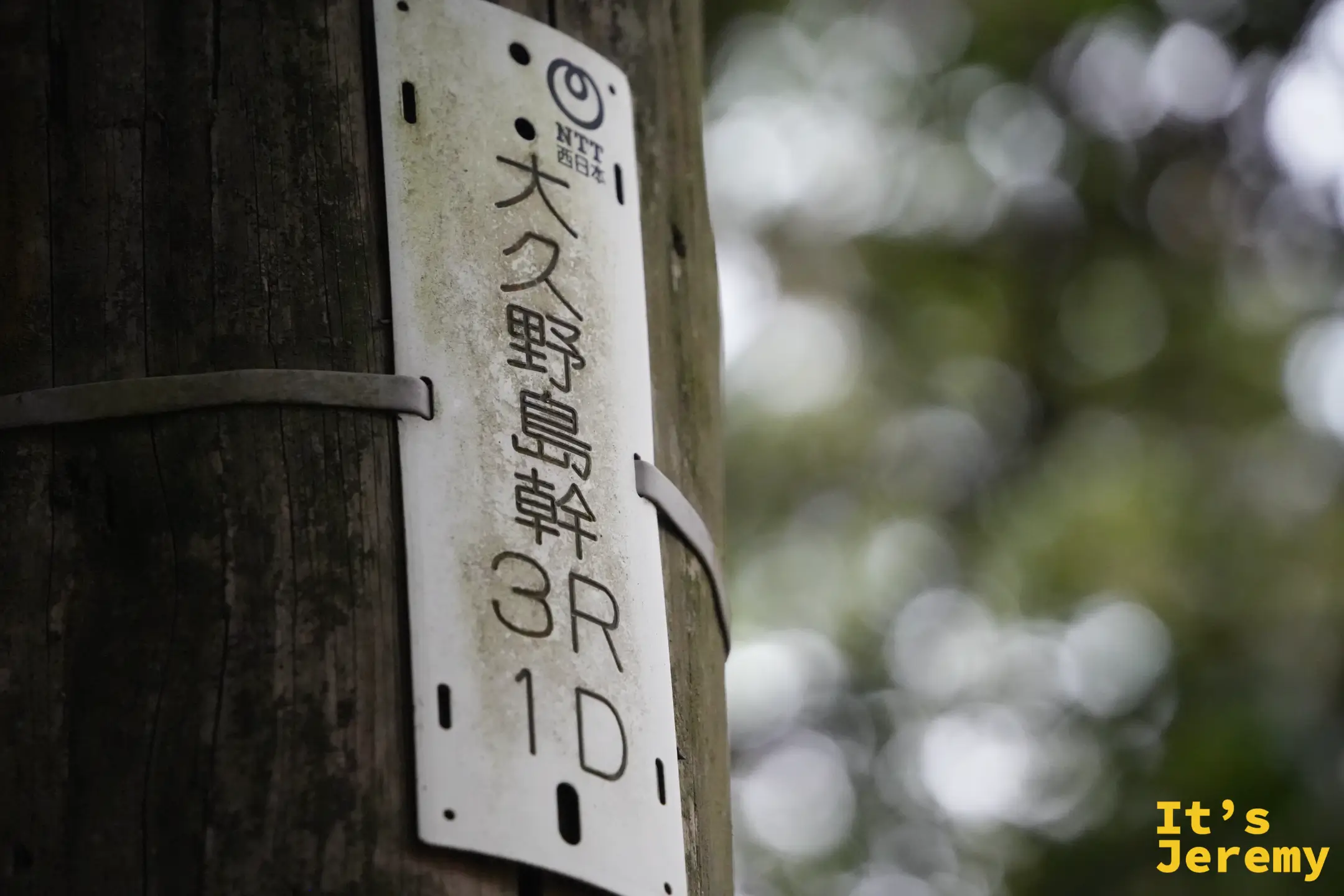 燈塔步道旁的電線桿