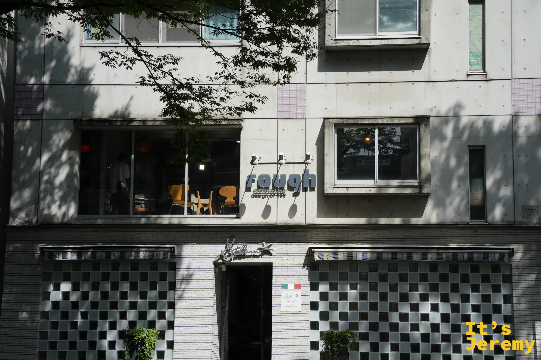 路旁店家門口的綠蔭光影