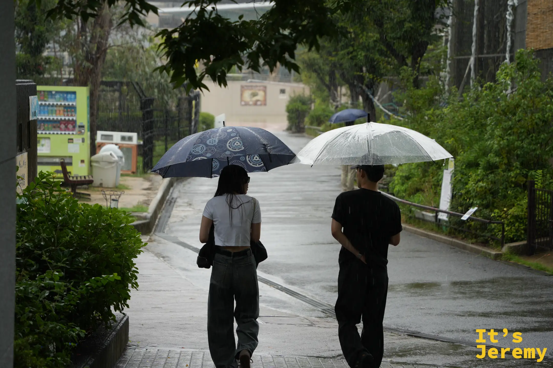 雨中撐傘走在天王寺動物園步道上的遊客