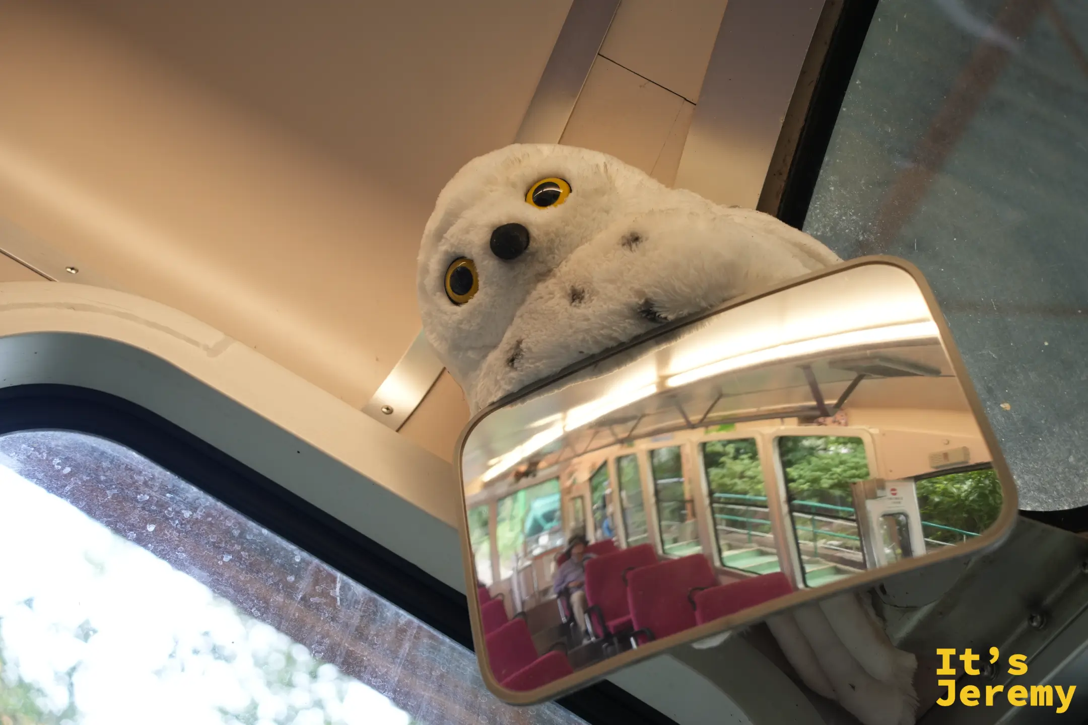 纜車後照鏡上的貓頭鷹布偶