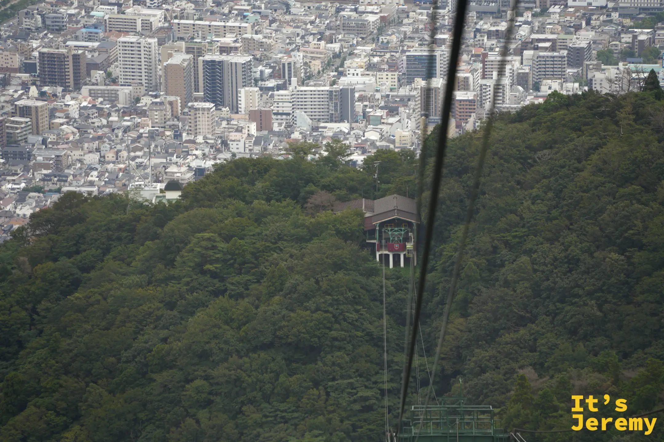 空中纜車纜線下方的森林與市區