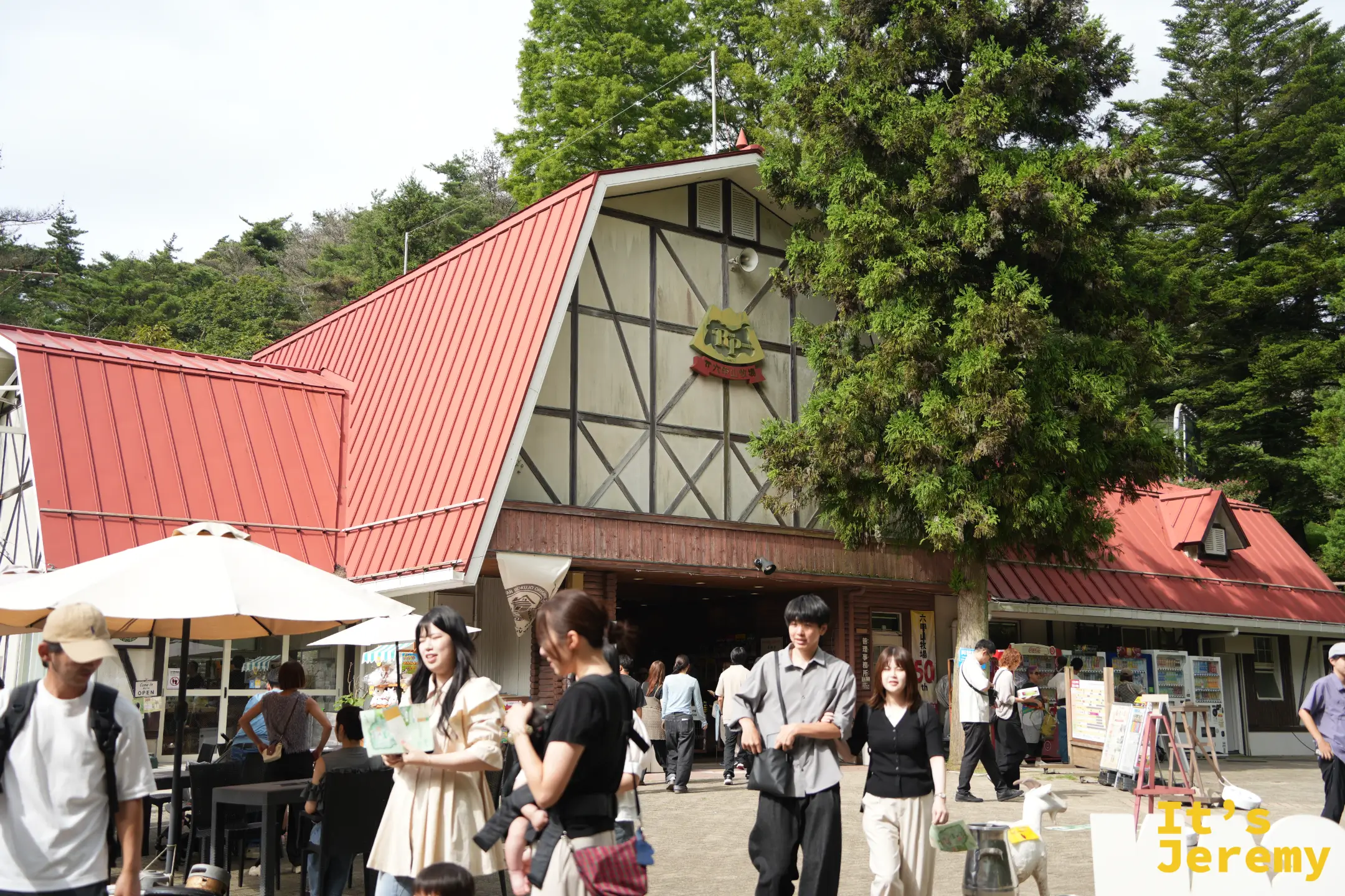 六甲山牧場的草地