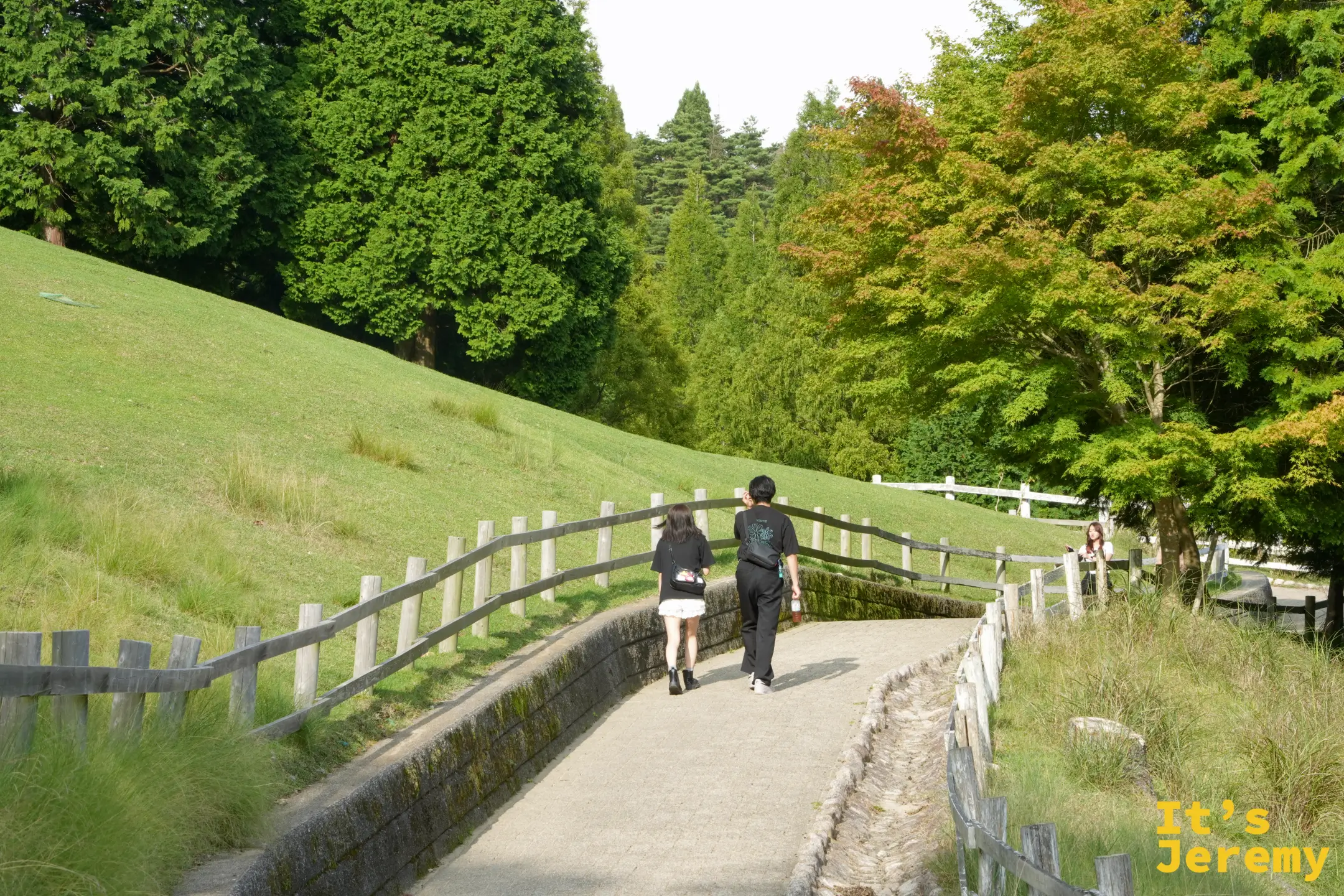 草坡旁的步道